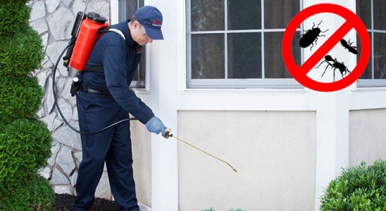 Kurtalan Bit İlaçlama böcek ilaçlama ve haşere kontrolü — ilaclama-tr.com